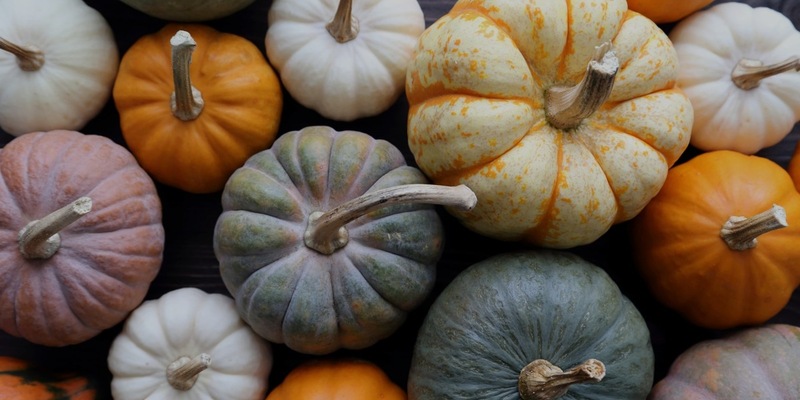 Die dunkle Jahreszeit versüßen: Ofenfrische Kürbisgerichte mit Beko AeroPerfect(TM)- und AirFry-Technologie - Foto: presseportal.de