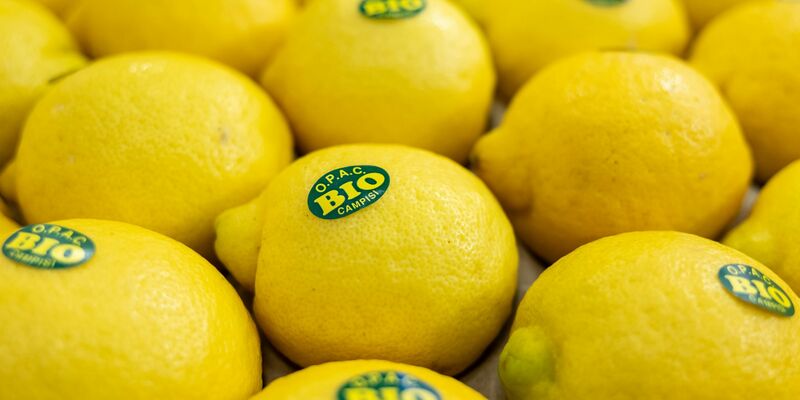 Bei vielen Verbrauchern sind Bio-Lebensmittel beliebt. (Symbolbild) - Foto: Daniel Karmann/dpa