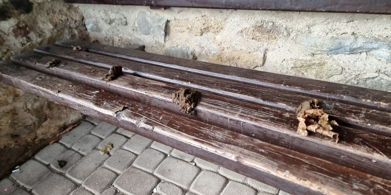 POL-PDWIL: Erneute Sachbeschädigung an Bushaltestelle in Kerpen - Polizei bittet um Hinweise - Foto: presseportal.de