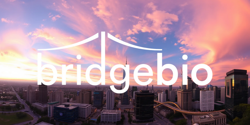 BridgeBio Pharma Insider Transactions Raise Investor Questions - Foto: über boerse-global.de