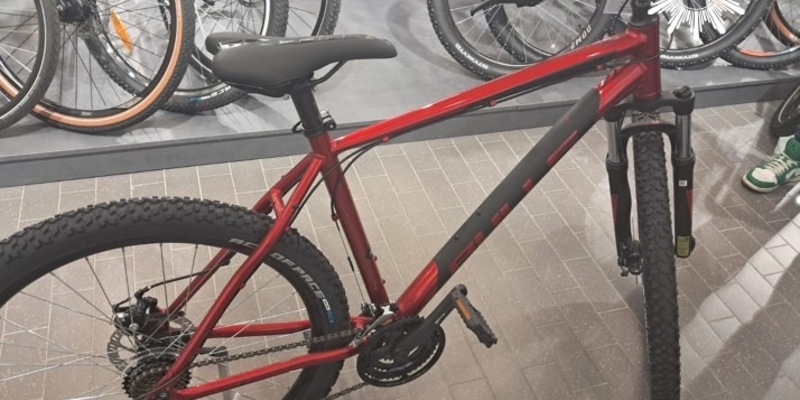 POL-NOM: Rotes Mountainbike entwendet - Foto: presseportal.de