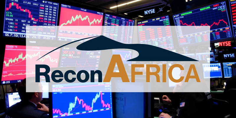 ReconAfrica Aktie: Öl-Fund schockiert! - Foto: über boerse-global.de