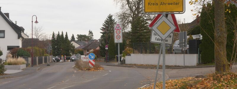 Im Wald bei Kalenborn wird nach einer mutmaßlichen Großkatze gesucht. - Foto: Thomas Frey/dpa