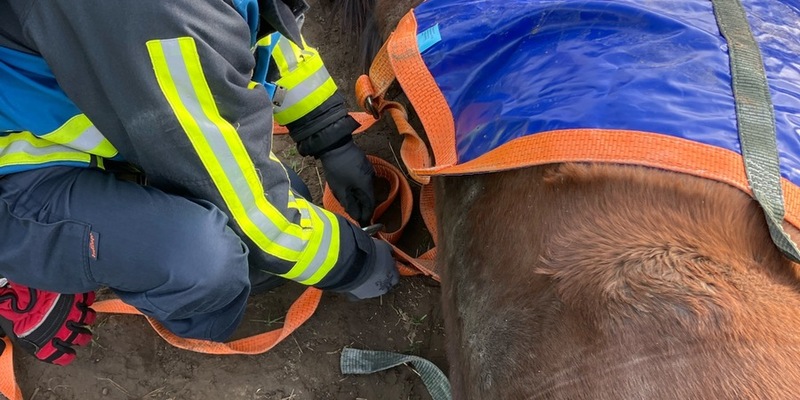FW-BO: Pferderettung in Sevinghausen - Foto: presseportal.de
