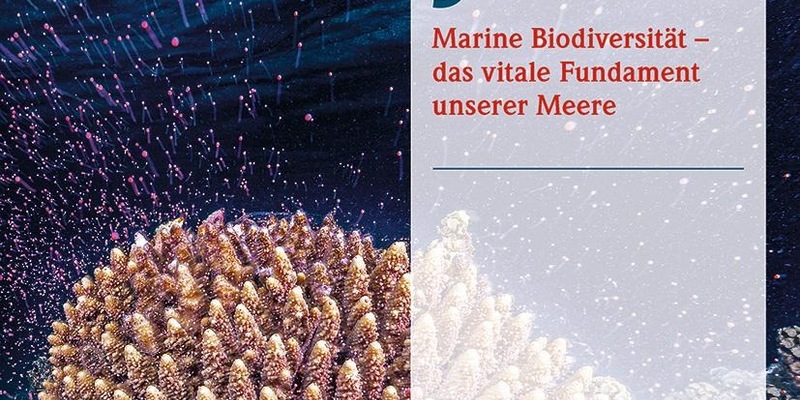 Marine Biodiversität - das vitale Fundament unserer Meere - Foto: presseportal.de