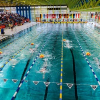 31. Internationaler Deutschlandpokal im Rettungsschwimmen: Weltmeisterliches Starterfeld - Foto: presseportal.de