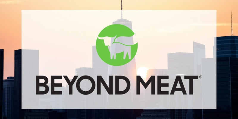 Beyond Meat Aktie: Drohende Herausforderung? - Foto: über boerse-global.de
