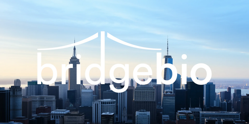 BridgeBio Pharma Aktie: Explosive Mischung! - Foto: über boerse-global.de