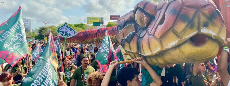 Aufwendig verkleidet zogen viele Klimaschützer durchs Zentrum der Millionenstadt Belém. - Foto: Torsten Holtz/dpa