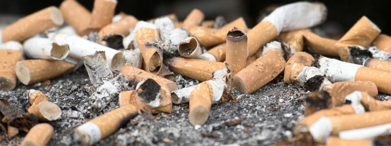 Reste von gerauchten Zigaretten in einem Aschenbecher. - Foto: Ralf Hirschberger/dpa-Zentralbild/dpa