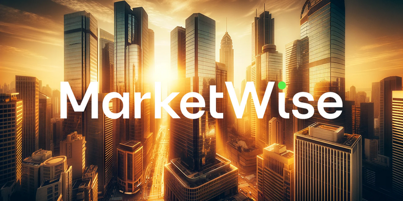 Marketwise Aktie: Absturz mit Ansage - Foto: über boerse-global.de