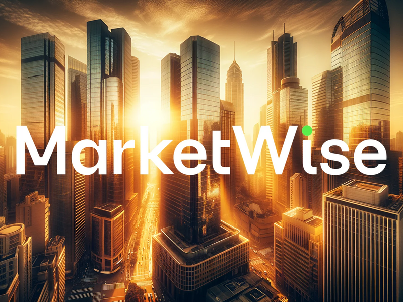 Marketwise Aktie: Absturz mit Ansage - Foto: über boerse-global.de