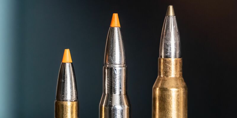 Jagdpatronen im Kaliber 308 Winchester (l-r), 30-06 Springfield und 300 Winchester Magnum stehen bei einem Jäger auf einem Waffenschrank. (Symbolbild) - Foto: Silas Stein/dpa