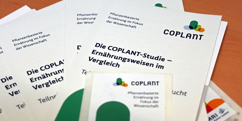 Studie zu pflanzlicher Ernährung bezieht nun auch Kinder ein (Kinder sind am Zug (Archivbild) - Foto: Uli Deck/dpa