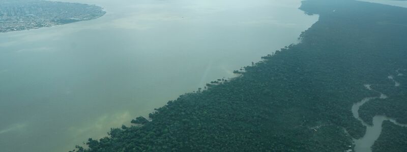 Hier ist der Wald intakt – doch an vielen Stellen ist er schon verloren. - Foto: Larissa Schwedes/dpa