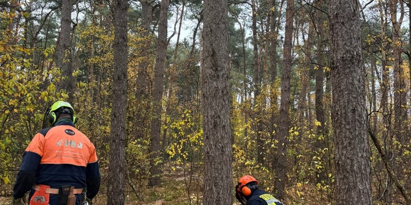 FW Wathlingen: Motorkettensägenausbildung in der Samtgemeinde Wathlingen - 11 Einsatzkräfte absolvieren das Modul B - Foto: presseportal.de