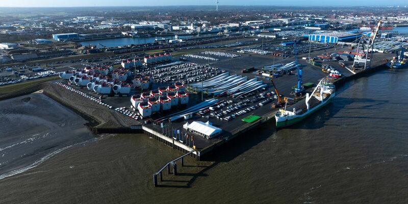 Im Hafen von Cuxhaven wurde ein toter Zwergwal entdeckt. (Symbolfoto) - Foto: Philipp Schulze/dpa