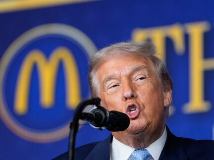 Trumps Regierung hatte die Resolution selbst in den UN-Sicherheitsrat eingebracht. - Foto: Alex Brandon/AP/dpa