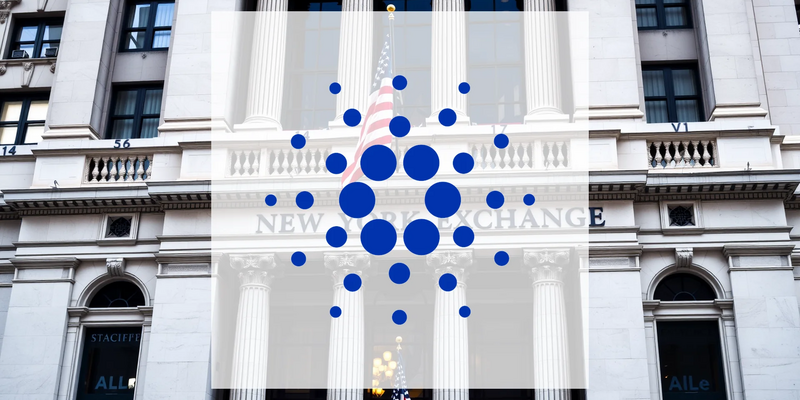 Cardano’s DeFi Ecosystem Faces Scrutiny After Major Investor Loses Millions - Foto: über boerse-global.de