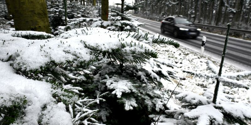 Nicht nur im Sauerland fielen zu Wochenbeginn erste Schneeflocken. - Foto: Federico Gambarini/dpa