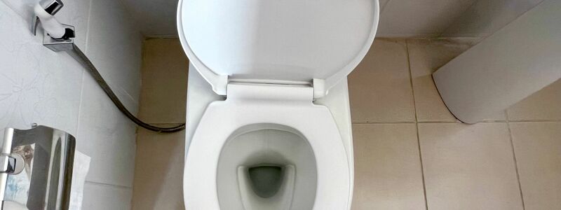 Toiletten sind für viele Menschen das Normalste von der Welt - nicht aber für mehr als drei Milliarden Menschen, die noch immer keinen Zugang zu Sanitäranlagen haben. (Archivbild) - Foto: Carola Frentzen/dpa