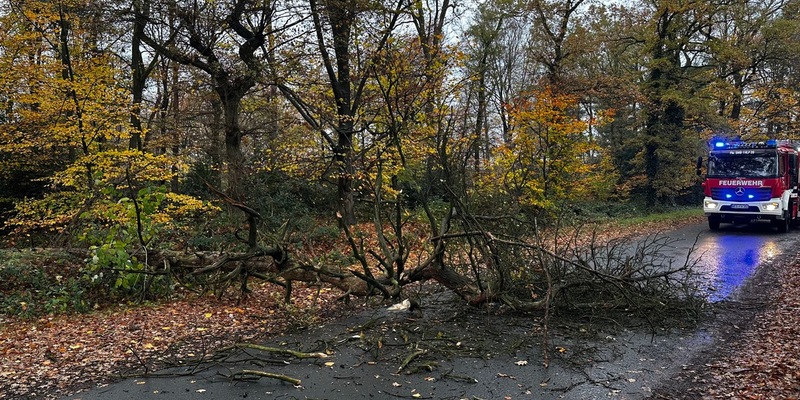 FW-Schermbeck: Baum auf Fahrbahn - Foto: presseportal.de