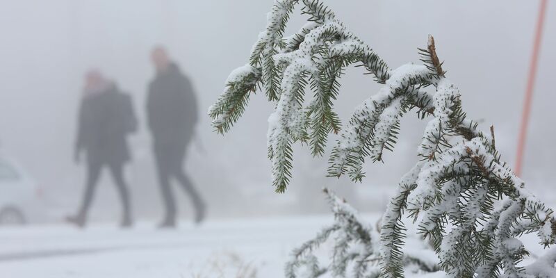 In den Mittelgebirgen wie dem Harz wird am Mittwoch Neuschnee erwartet. - Foto: Matthias Bein/dpa