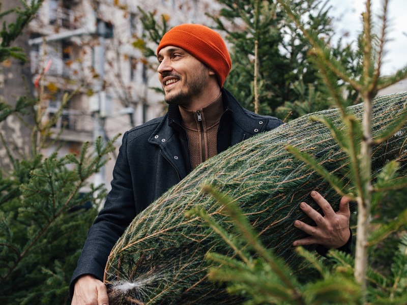 Deutschland feiert natürlich: Der echte Weihnachtsbaum bleibt die Nummer 1/ Studie zeigt: 15,3 Millionen Haushalte feiern mit echtem Baum - Foto: presseportal.de