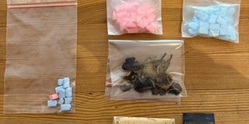 BPOL-FL: Bundespolizei stellt Rauschgift am Bahnhof sicher - Foto: presseportal.de