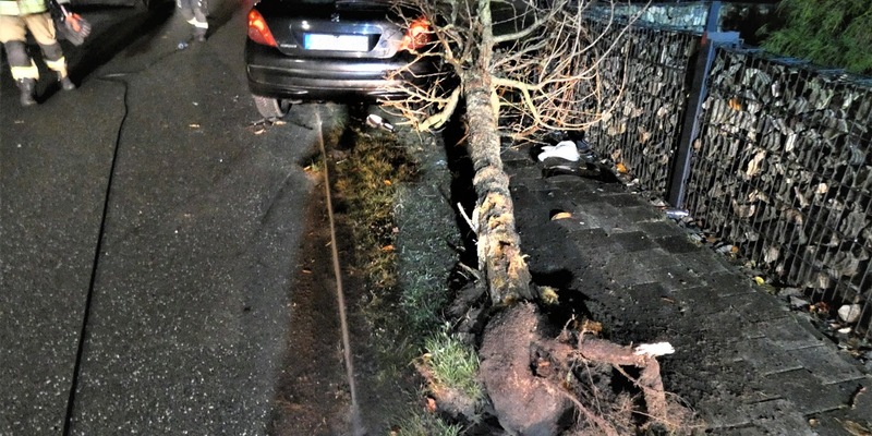 POL-HRO: Alkoholisierte Fahrerin prallt mit Pkw gegen Baum - Foto: presseportal.de