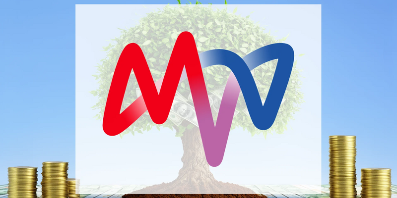 Mvv Energie Aktie: Kritische Entwicklungen? - Foto: über boerse-global.de