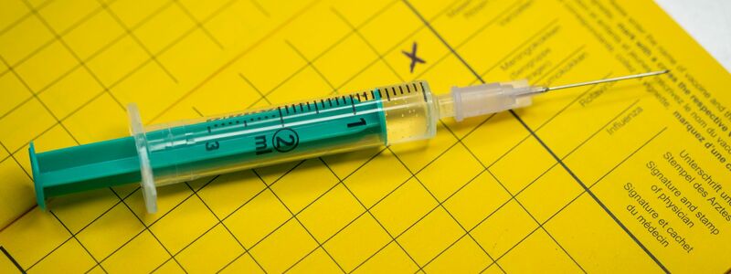 Eine Impfung sorgt dafür, dass der Körper weiß, was im Ernstfall zu tun ist. (Symbolbild) - Foto: Friso Gentsch/dpa