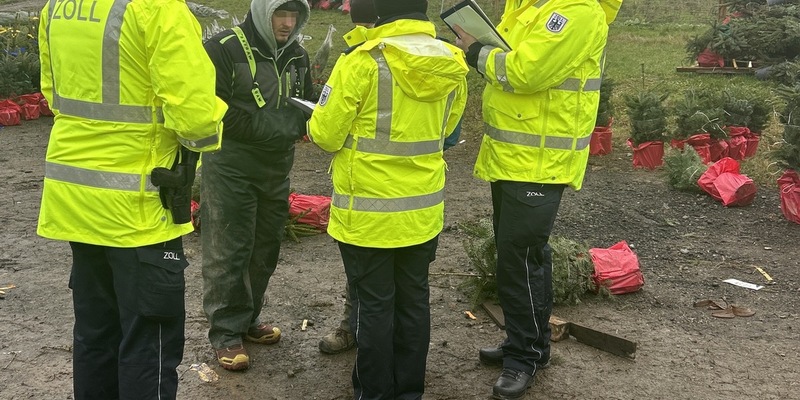 HZA-BI: Oh Tannenbaum/Zoll und Bezirksregierung kontrollieren Weihnachtsbaumbranche im Hochsauerlandkreis - Foto: presseportal.de