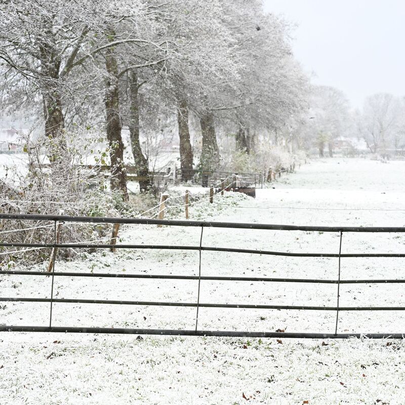 Weiteren Schnee sagt der Deutsche Wetterdienst frühestens am Sonntag vorher. - Foto: Lars Penning/dpa
