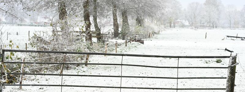 Weiteren Schnee sagt der Deutsche Wetterdienst frühestens am Sonntag vorher. - Foto: Lars Penning/dpa