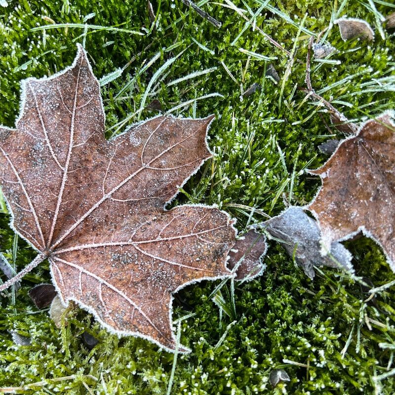Vom Kälterekord ist das Wetter in Deutschland noch weit entfernt. - Foto: Britta Pedersen/dpa