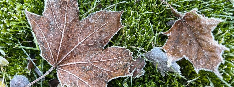 Vom Kälterekord ist das Wetter in Deutschland noch weit entfernt. - Foto: Britta Pedersen/dpa