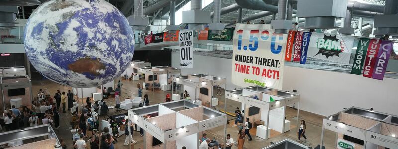 Auch Indigene demonstrierten auf dem Tagungsgelände. - Foto: Andre Penner/AP/dpa