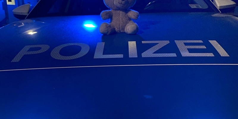 POL-PDNW: Teddy sucht Familie - Foto: presseportal.de