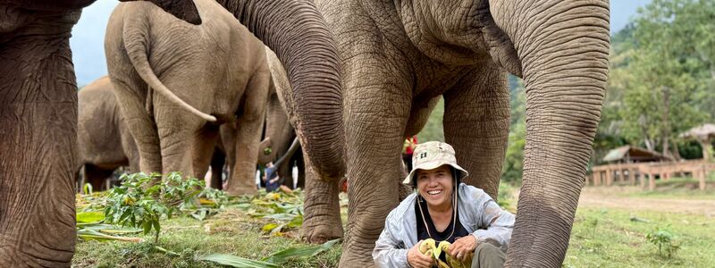 Lek ist für ihre Arbeit vielfach ausgezeichnet worden. - Foto: Carola Frentzen/dpa