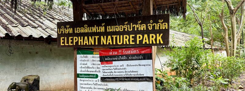 Der Elephant Nature Park liegt in der Nähe der bekannten Stadt Chiang Mai. - Foto: Carola Frentzen/dpa