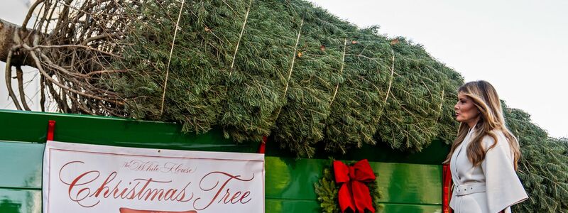 Der Weihnachtsbaum kommt im Weißen Haus an. - Foto: Julia Demaree Nikhinson/AP/dpa