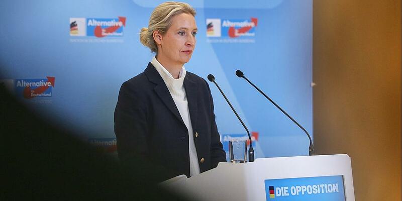 Alice Weidel am 24.11.2025 - Foto: über dts Nachrichtenagentur