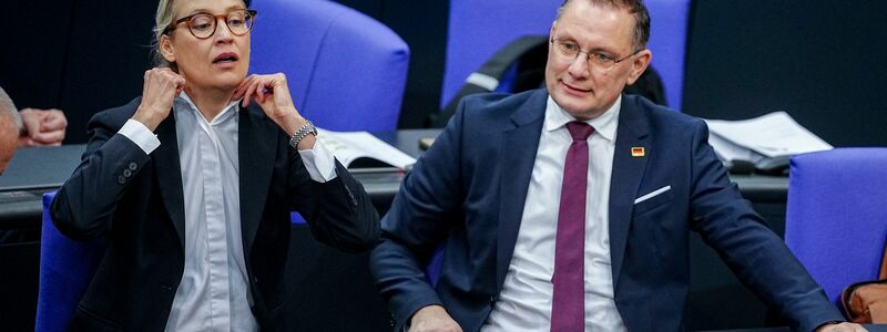 Die Gespräche von Alice Weidel, Co-Fraktionsvorsitzende und Co-Parteichefin der AfD, mit Unternehmern finden nach Angaben ihres Sprechers bislang meist im vertraulichen Rahmen statt. - Foto: Kay Nietfeld/dpa