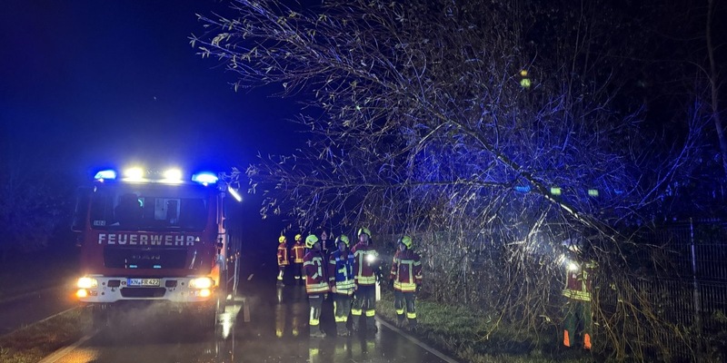 FW Reichenau: Baum über Fahrbahn, Rau-Lindenbühl, 26.11.2025 - Foto: presseportal.de