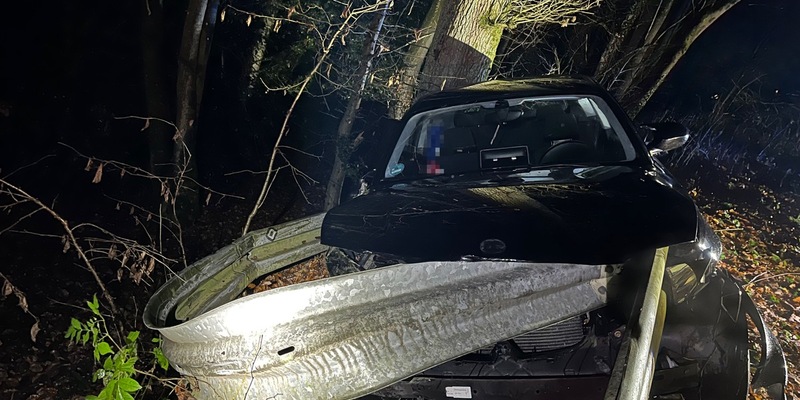 POL-GM: Wild ausgewichen und in Leitplanke gekracht - Foto: presseportal.de