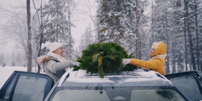 So kommt der Weihnachtsbaum sicher nach Hause - Foto: presseportal.de