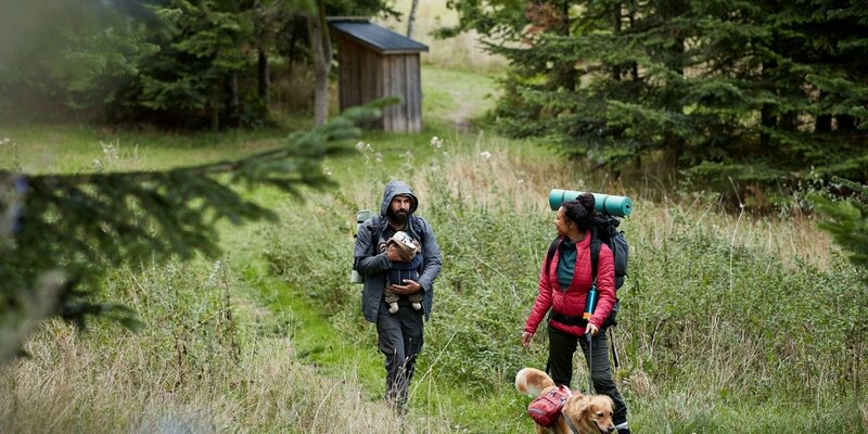 Haustierfreundliches Reisen ist im Trend: Bei 4 von 10 deutschen Hundebesitzern bestimmt der Vierbeiner die Urlaubsziele - Foto: presseportal.de