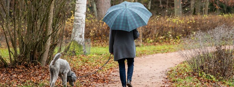 Ein Spaziergang ist ein gutes Mittel gegen Stress. (Symbolbild) - Foto: Silas Stein/dpa