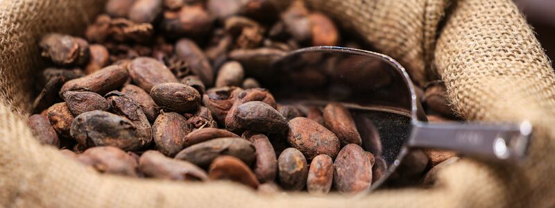 Teure Kakao-Importe sorgen für hohe Schokoladenpreise. - Foto: Oliver Berg/dpa